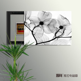 客厅电表箱专用配电箱装饰画推拉式电表盒遮挡箱餐厅无框画透明花