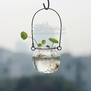 ZAKKA杂货 透明玻璃南瓜铁线吊瓶花瓶烛台 水培绿植容器 日式家居