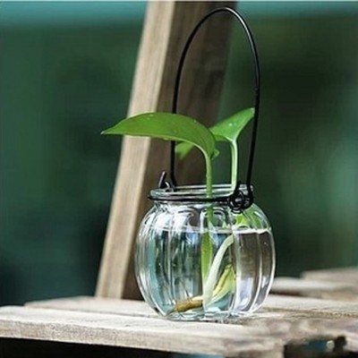 水培花瓶 南瓜吊瓶透明玻璃瓶 绿萝 铜钱草 负离子等水培花卉专用