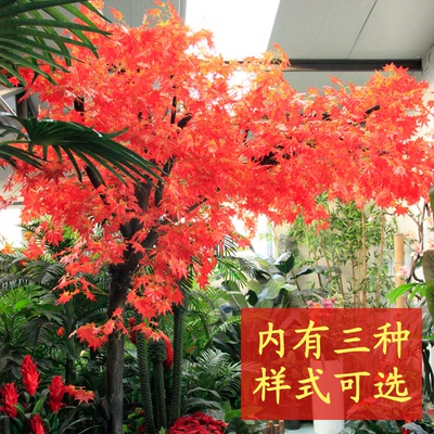 仿真树 红叶植物红枫树 盆景 大型落地植物 客厅大堂装饰特价批发