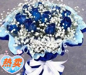 11朵蓝色玫瑰蓝色妖姬送爱人求婚鲜花速递生日鲜花花店直送