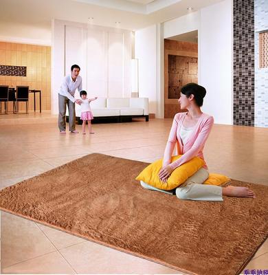【天天特价】包邮特价水洗超柔丝毛客厅卧室4.5CM丝毛地毯 可定做