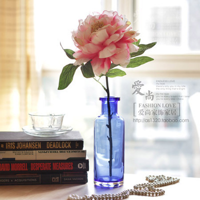 艾丽卡尔 梳妆台茶几花瓶 玻璃花瓶 幸福漂流瓶+洛阳牡丹 套装
