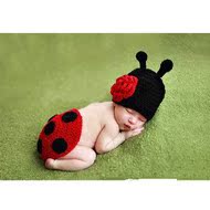 儿童摄影服饰服装/纯手工编织满月百天宝宝拍照服装动物造型/瓢虫