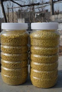 散装500克青海省优质纯天然油菜蜂花粉无污染蜂场直销包邮