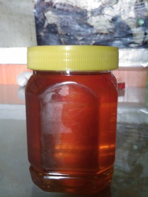 蜂蜜 纯天然农家蜂场自产 蜂场直销 枣花蜜 养血安神、护脾养胃