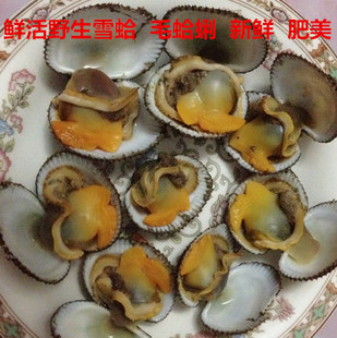 野生毛蛤蜊/鲜美血蛤/小赤贝，海鲜刺身