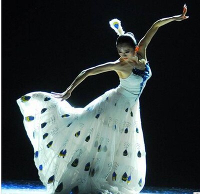 2015傣族舞蹈演出服装傣族雀之灵孔雀舞蹈表演服民族服孔雀大摆裙