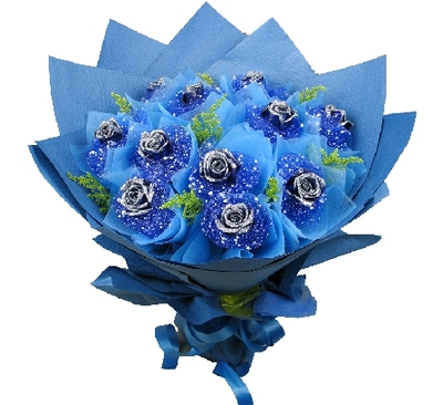 蓝色妖姬花束南宁鲜花广西鲜花速递11支蓝玫瑰