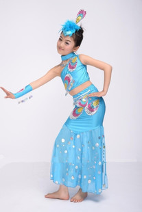 少数民族服装高弹力布料舞台演出服 -高弹力傣族舞蹈服装