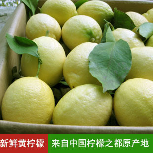 2012新果上市　安岳新鲜黄柠檬 美容水果推荐 产地直销 送柠檬片