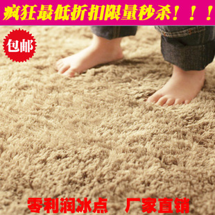 特价超柔可水洗日式丝毛地毯/客厅/飘窗/卧室床边地毯地垫门垫