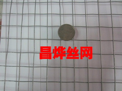 热镀锌电焊网 养殖网 宠物用网 铁丝网 网孔2CM丝径1.0MM