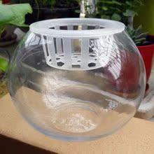家庭桌面阳台赏花玻璃花瓶水培植物花盆水培圆球玻璃圆球含定植篮