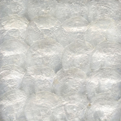 厂家直销天然环保 贝壳装饰板 贝壳马赛克 贝壳墙纸 PJ-001P