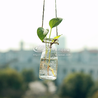 Since简约桌面玻璃吊瓶花瓶水培绿植容器花器ZAKKA杂货 年底促销