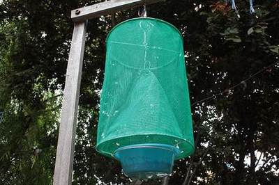 买5包邮厂家直销折叠式捕蝇笼 灭苍蝇笼捕蝇器高效灭蝇器捕苍蝇笼