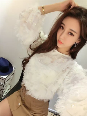 韩国2016年秋冬新品圆领长袖宽松版微透女上衣推荐款 蕾丝衫雪纺
