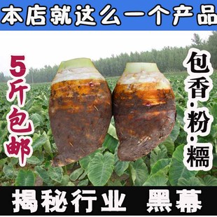 8月现挖正宗广西新鲜荔浦芋头 槟榔香芋芋艿毛芋头5斤装包邮