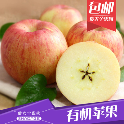 【傻大个果园】陕西红富士苹果80#有机富硒水果12枚