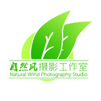 自然风商业摄影