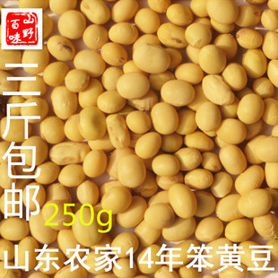 新产2015年山东农家笨黄豆 有机非转基因 发芽率95%以上 3斤包邮
