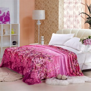 毛毯加厚法兰绒珊瑚绒毯夏冬季毯子双人毯空调毯午睡单双人小盖毯