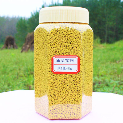 纯天然活性油菜蜂花粉 青海油菜花粉 保护前列腺 备孕 正品 460克