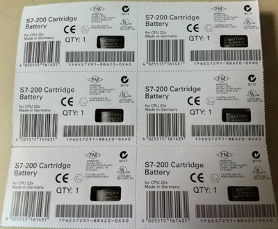 西门子S7-200 PLC 电池卡6ES7291-8BA20-0XA0(国产)