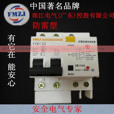 FMZJ珠江电气单极DZ47 2P63A漏电漏电开关家用短路保护器(防雷型)