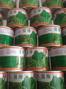 夏萍青更菜种子100g杂交种上海青     耐热   耐水抗病突出