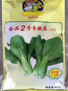 金品2号青梗菜种子福州春晓种苗 耐热品种4 -10月播种