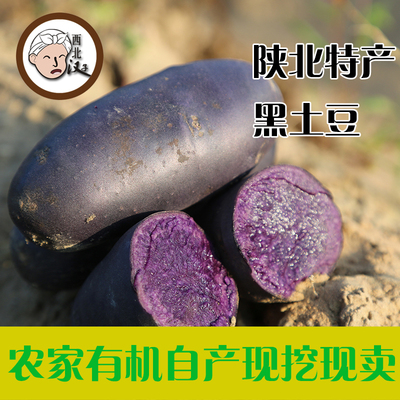 陕北特产纯天然新鲜蔬菜黑金刚土豆紫土豆 马铃薯洋芋3斤包邮
