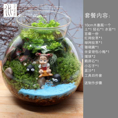 右花园苔藓微景观植物生态瓶创意玻璃瓶迷你绿植DIY摆件盆栽盆景