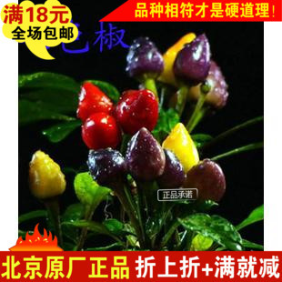 七色椒食用观赏20粒原厂彩包装花种子蔬果种子花卉种子正品