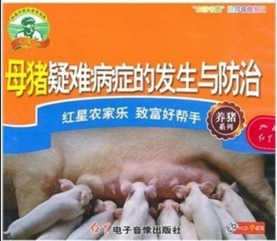 最新母猪养殖技术大全/母猪繁育技术/猪病防治3光盘2书籍 正品