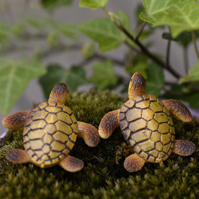 苔藓微景观多肉植物盆栽装饰品玩偶树脂海龟DIY材料动物小摆件