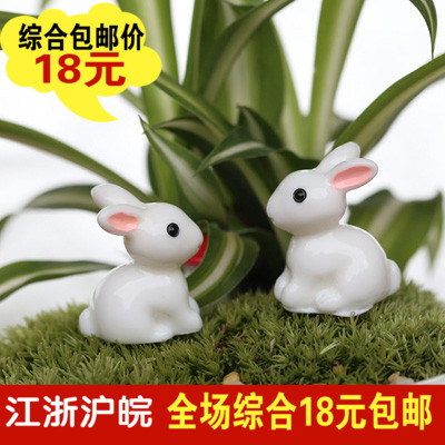 苔藓微景观多肉植物盆栽饰品摆件迷你小耳朵小白兔DIY组装小摆件
