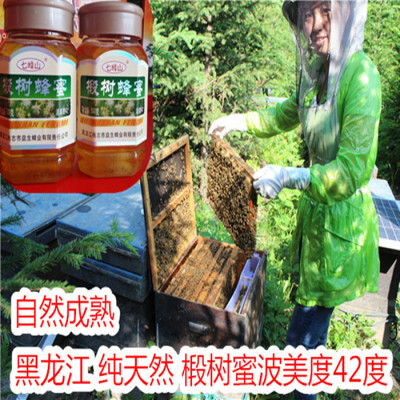 黑龙江椴树蜜液态蜜东北蜂蜜结晶蜜长白山黑蜂雪蜜波美度42度