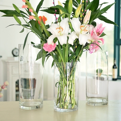 圆形玻璃花瓶透明大欧式富贵竹百合玫瑰创意家居客厅插花装饰摆件