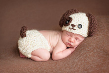 儿童摄影服装新款 手工编织造型 满月百天宝宝拍照衣服影楼咖啡狗