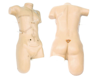 厂家成人外科缝合包扎展示训练手术医学用上半身人体模型综合练习