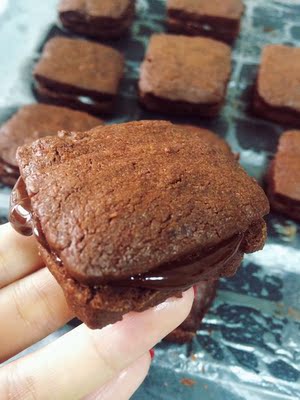 一打家 小糍手工烘焙坊 手工饼干曲奇 黑巧克力夹心饼干零食特产