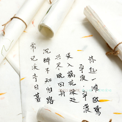中国风天然手工植物书法宣纸信纸淡雅唯美中式古风干花信笺10张入