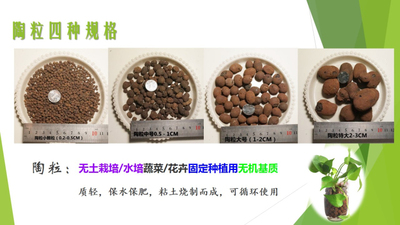 陶粒(0.2-2CM)小号，中号、大号特大四种规格 花卉无土栽培基质