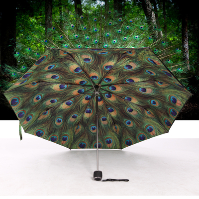 孔雀 女超强防晒小黑伞 遮阳伞防紫外线折叠黑胶晴雨两用晴雨伞