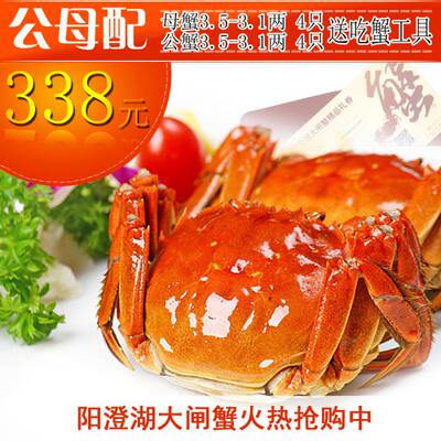 阳澄湖大闸蟹鲜活母螃蟹3.5-3.1两公螃蟹3.5-3.1两公母套餐抢购中