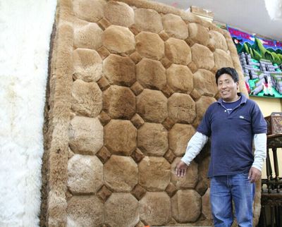 秘鲁直邮神兽驼羊毛制 品皮毛一体毯子挂毯壁 毯地毯驼羊毛毯床垫