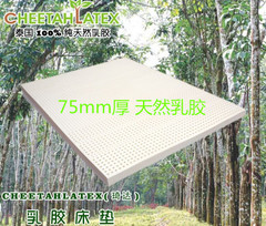 cheetahlatex泰国正品乳胶床垫原装进口100%纯天然50mm代购