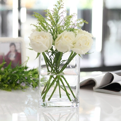 欧式方形大花瓶玻璃透明富贵竹创意简约客厅插花百合家居装饰摆件